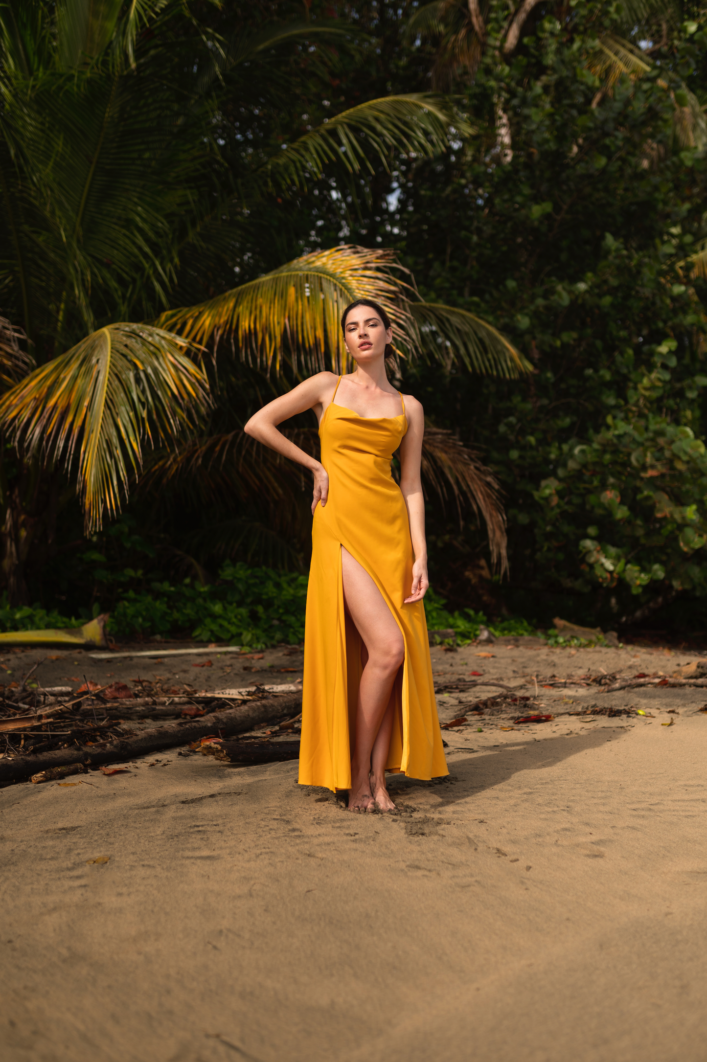 NOA